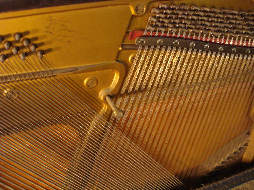 6 - Pins & strings corroded, pin torque OK, bridges OK, tuning pitch slightly flat. 6 - Pins & strings corroded, pin torque OK, bridges OK, tuning pitch slightly flat.